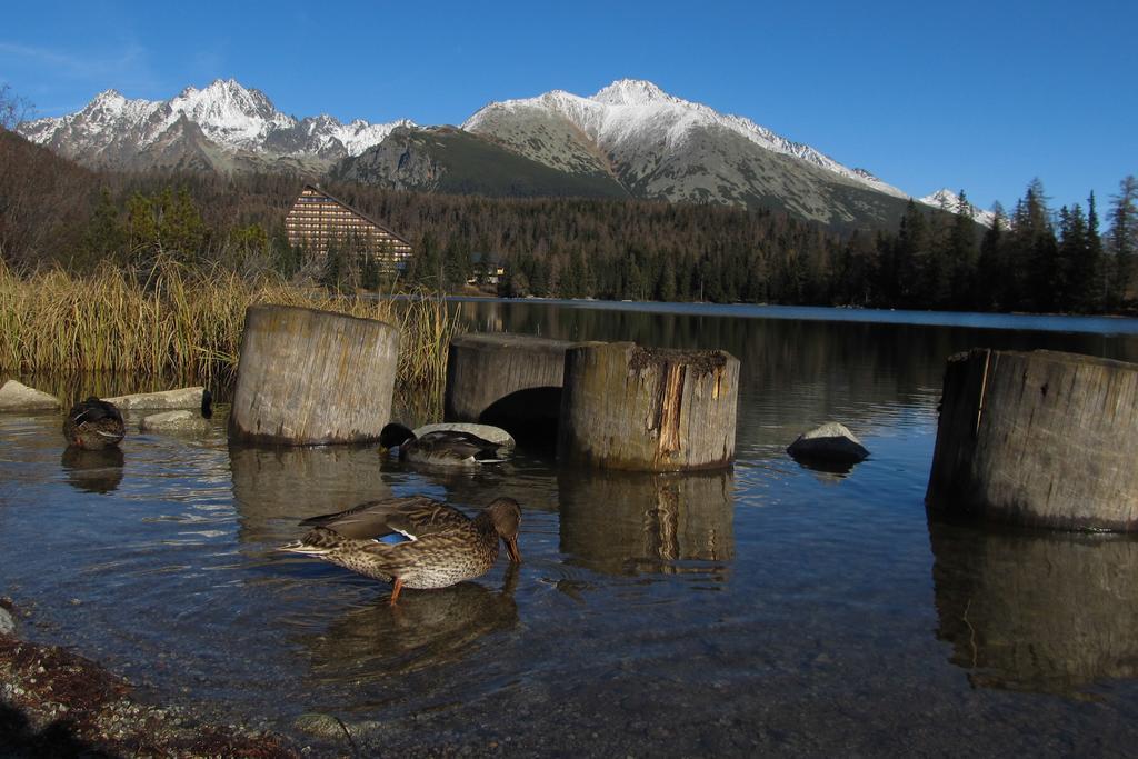 Apartman Strbske Pleso - Crocus 219 Oda fotoğraf